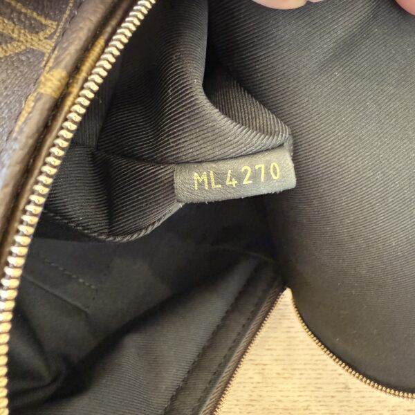 Louis Vuitton Monogram Palm Springs Mini NV
