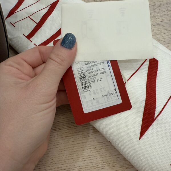 Valentino Garavani VLogo Moon Medium Grainy Calfskin Hobo Bag with Chain Clay