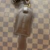 Louis Vuitton Damier Ebene Keepall Bandouliere 45