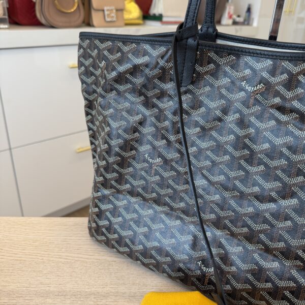 Goyard Goyardine Saint Louis PM Black and Black