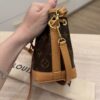 Louis Vuitton Monogram Nano Noe
