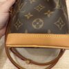 Louis Vuitton Monogram Nano Noe