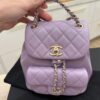 Chanel Lambskin Quilted Small Duma Drawstring Backpack Light Purple