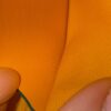 Goyard Goyardine Mini Senat Pochette Green