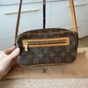 Louis Vuitton Monogram Pochette Cite
