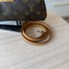 Louis Vuitton Monogram Eva