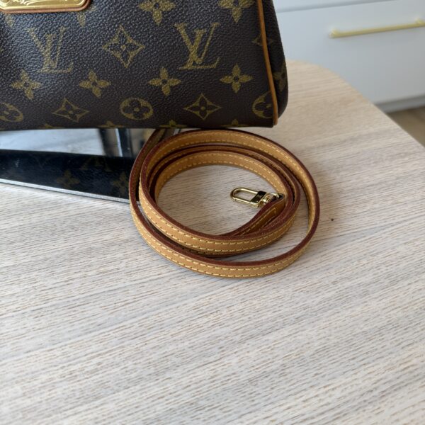 Louis Vuitton Monogram Eva