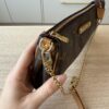 Louis Vuitton Monogram Eva