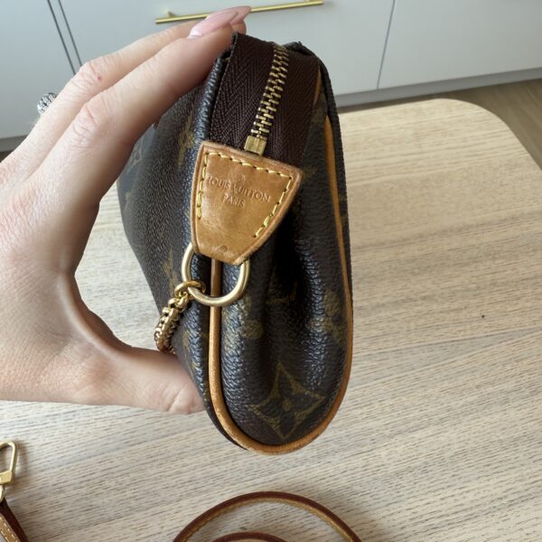 Louis Vuitton Monogram Eva