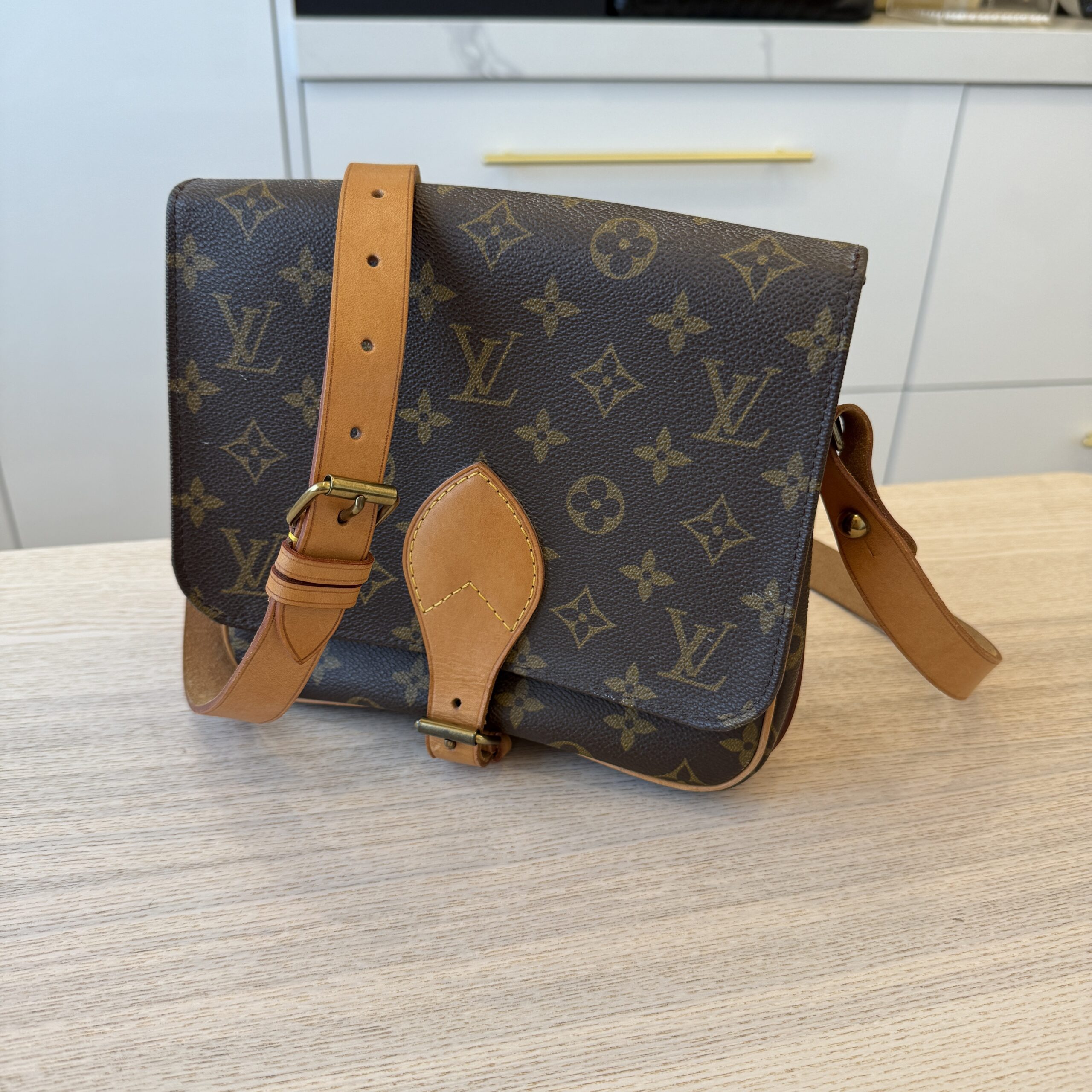 Louis Vuitton Monogram Cartouchiere 22