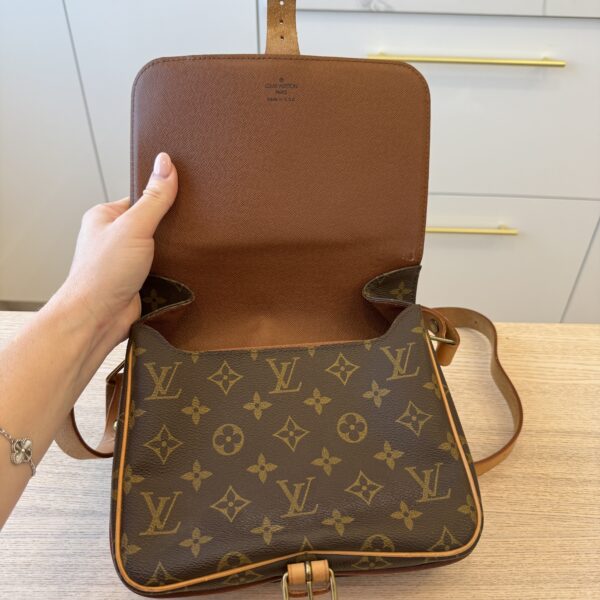 Louis Vuitton Monogram Cartouchiere 22