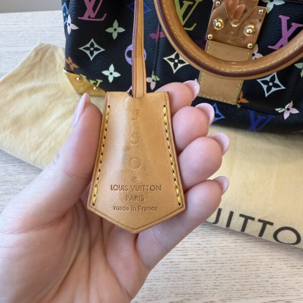 Louis Vuitton Monogram Multicolor Speedy 30 Black