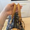 Louis Vuitton Monogram Multicolor Speedy 30 Black