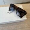 Celine Bold 3 Dots Colored Havana