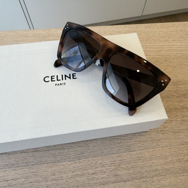 Celine Bold 3 Dots Colored Havana
