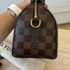 Louis Vuitton Damier Ebene Speedy 20 Bandouliere