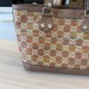 Gucci Straw Libeccio Monogram Large Sunset Tote Multicolor