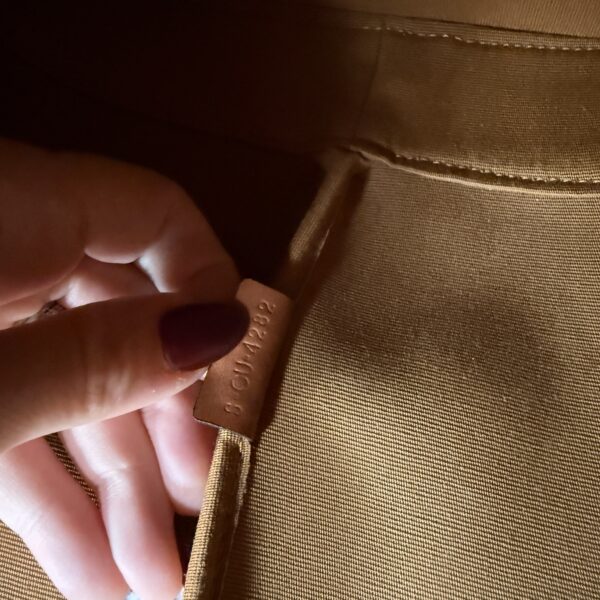 Celine Bucket Bag Triomphe Coated Canvas Medium