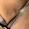 Louis Vuitton Monogram Key Pouch Cles