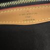 Louis Vuitton Monogram Diane