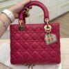Christian Dior Lambskin Cannage Medium Lady Dior Gold Hardware Pink