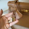 Hermes Kelly Handbag Gold Courchevel with Gold Hardware 28