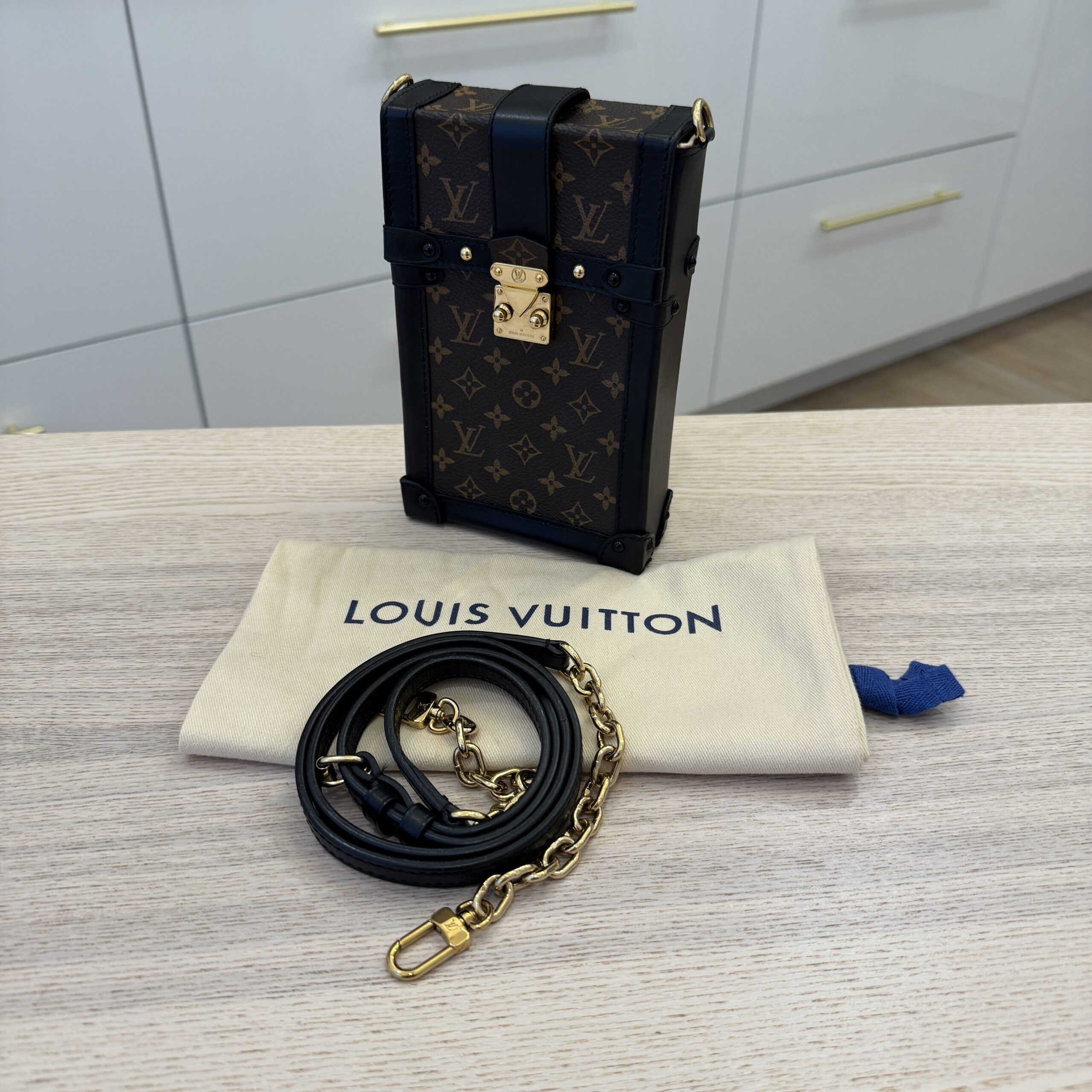 Louis Vuitton Vertical Trunk Pochette Monogram Canvas