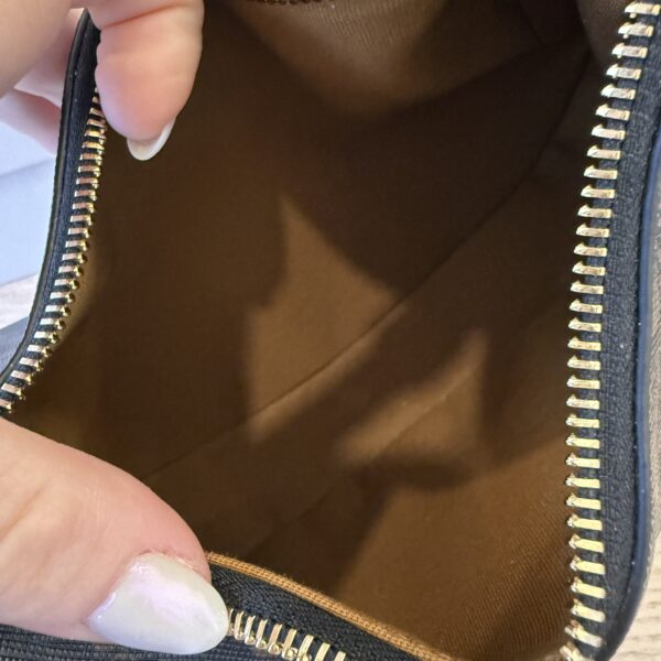 Celine Teen Lulu in Triomphe Canvas and Calfskin