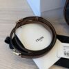 Celine Teen Luli in Triomphe Canvas and Calfskin