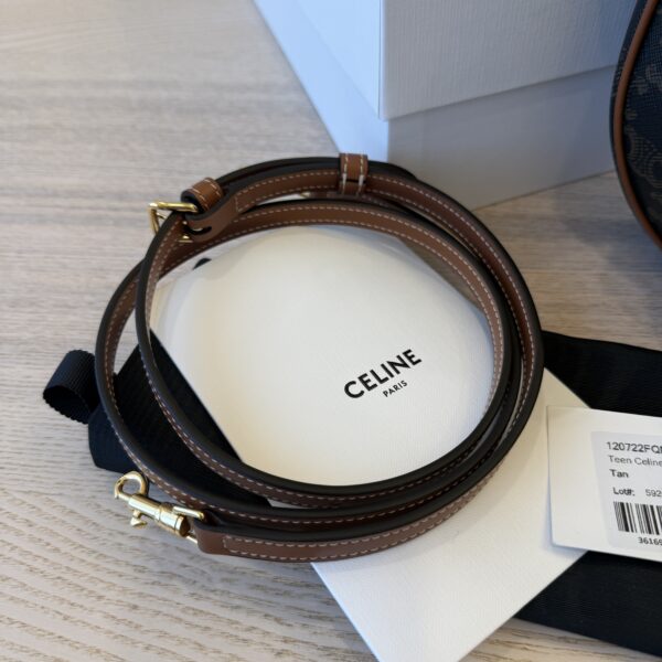 Celine Teen Luli in Triomphe Canvas and Calfskin