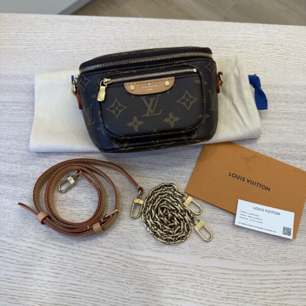 Louis Vuitton Monogram Mini Bumbag