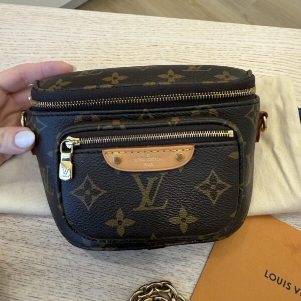 Louis Vuitton Monogram Mini Bumbag