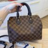 Louis Vuitton Damier Ebene Speedy 25 Bandouliere NM