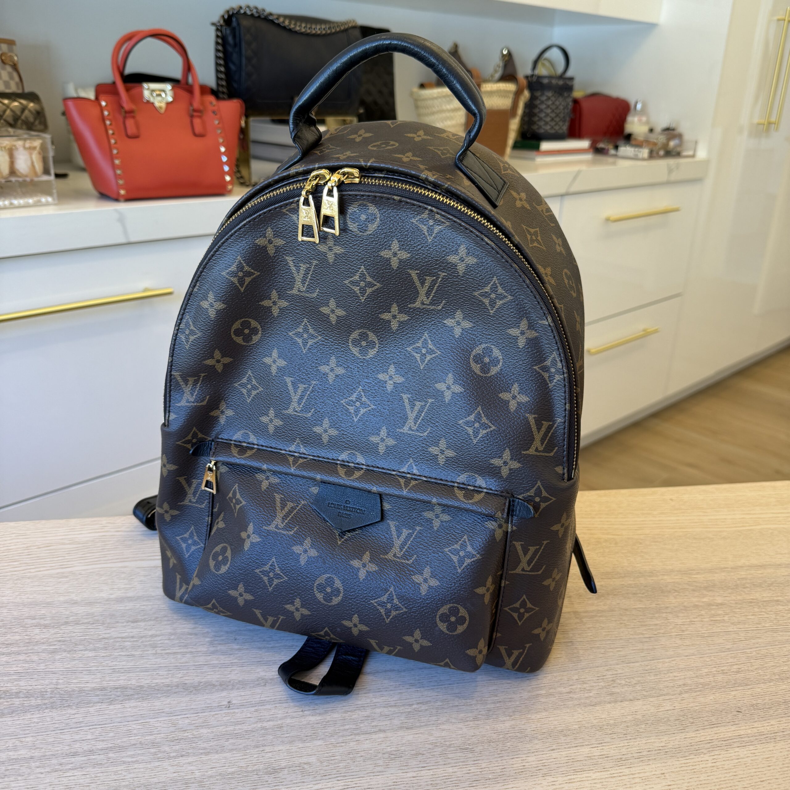 Louis Vuitton Monogram Palm Springs Backpack MM NV
