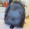 Louis Vuitton Monogram Palm Springs Backpack MM NV
