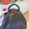 Louis Vuitton Monogram Palm Springs Backpack MM NV