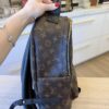 Louis Vuitton Monogram Palm Springs Backpack MM NV