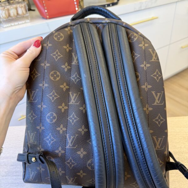 Louis Vuitton Monogram Palm Springs Backpack MM NV