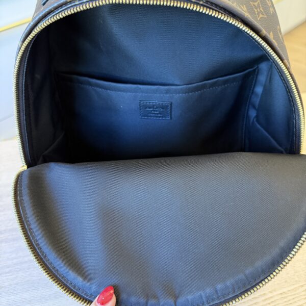 Louis Vuitton Monogram Palm Springs Backpack MM NV