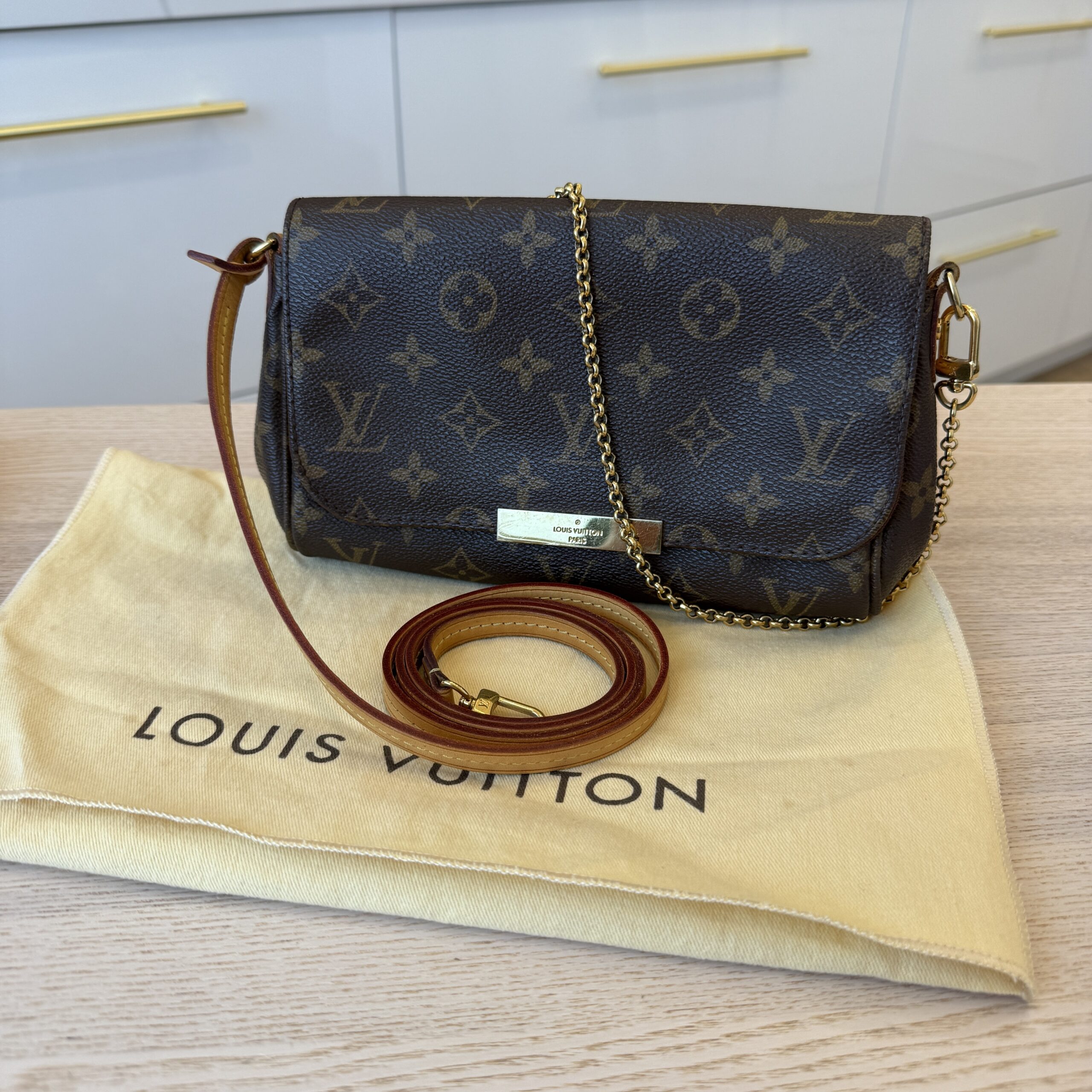 Louis Vuitton Monogram Favorite PM