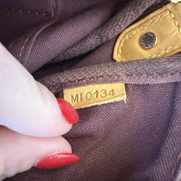 Louis Vuitton Monogram Favorite PM
