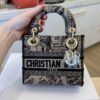 Christian Dior Canvas Embroidered Mini Plan de Paris Lady D-Lite Beige Black