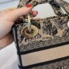 Christian Dior Canvas Embroidered Mini Plan de Paris Lady D-Lite Beige Black