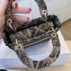 Christian Dior Canvas Embroidered Mini Plan de Paris Lady D-Lite Beige Black