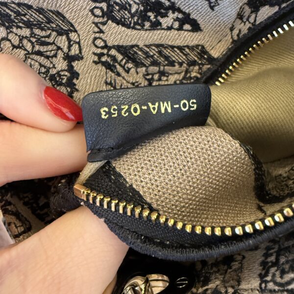 Christian Dior Canvas Embroidered Mini Plan de Paris Lady D-Lite Beige Black