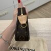 Louis Vuitton Monogram Pochette Accessoires NM