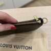Louis Vuitton Monogram Pochette Accessoires NM