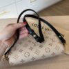 Louis Vuitton Monogram Dune Ivy Wallet On Chain