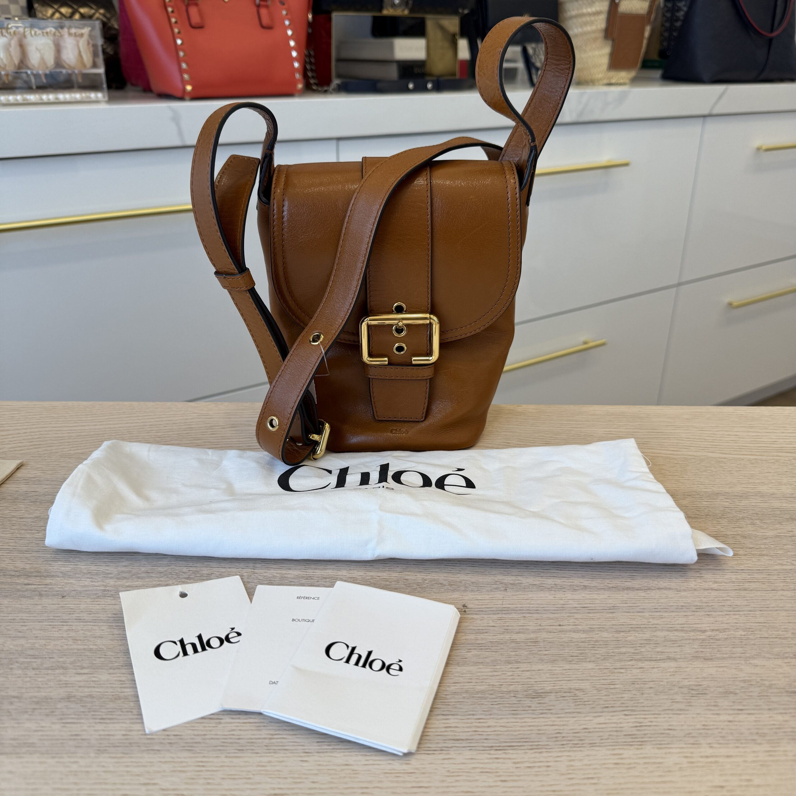 Chloe Mini Camera Leather Shoulder Bag Clay Brown
