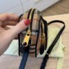Burberry Calfskin Vintage Check Camera Bag Archive Beig